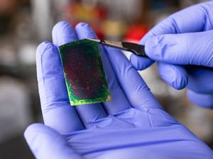 University of Houston two-dimensional thin film electric insulator