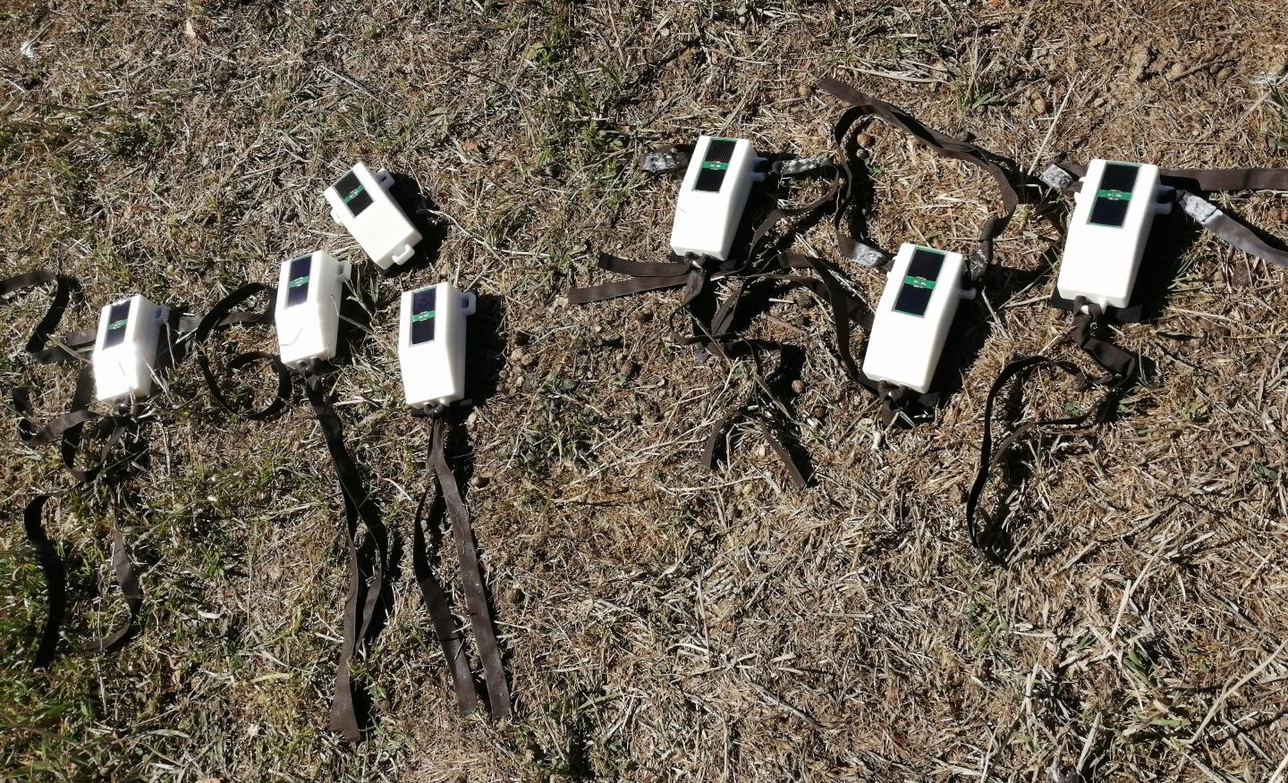 Tracking Devices