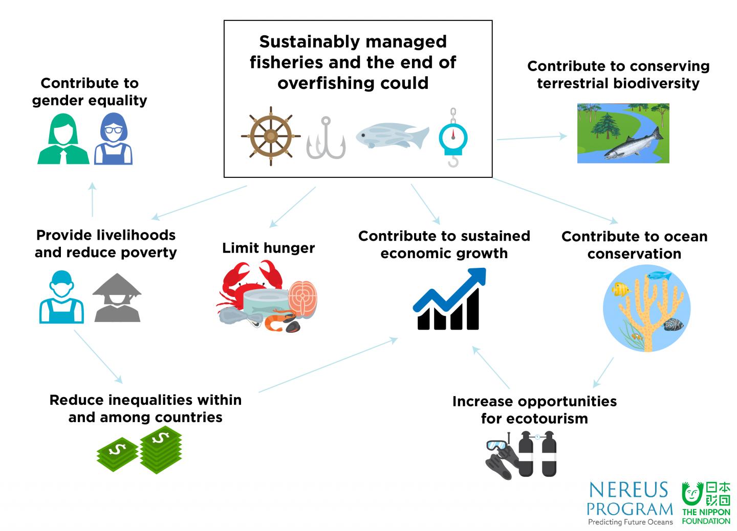 SDG report -- Target 4