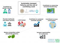 SDG report -- Target 4