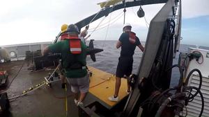 Recording Red Hind Grouper Grunts