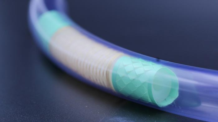 Bioinspired soft enteroscopic robot