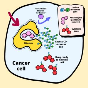 Cancer-killing drug made inside cancer cells using their own excess carbon monoxide