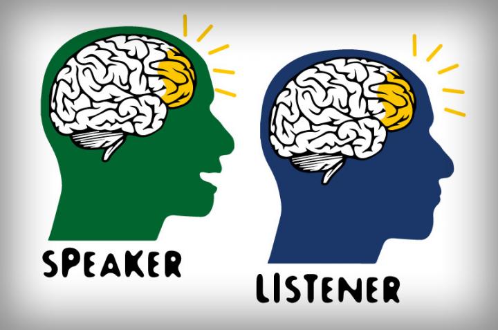 Brain Synchronization