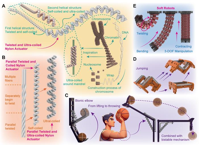 The conception of the high-performance twisted nylon actuators and their applications for actuating soft robots.