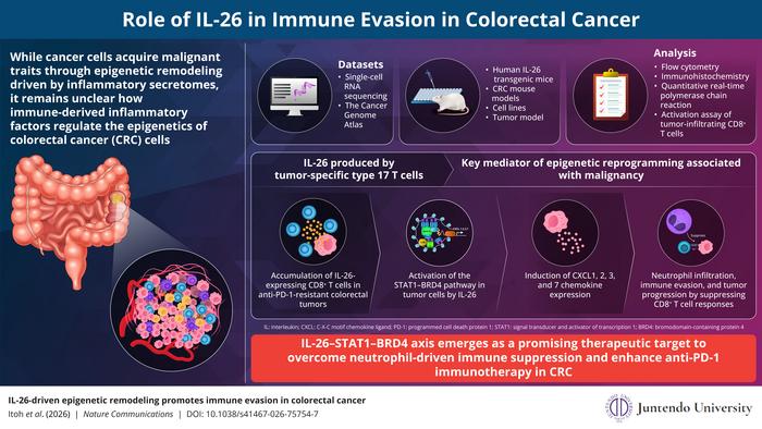 Role of interleukin (IL)-26 in epigenetic remodeling and promotion of immune evasion in colorectal cancer