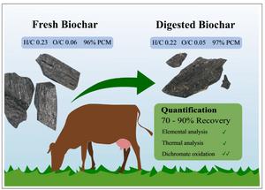 Recovery and composition of biochar after feeding to cattle