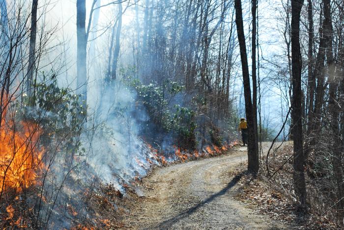 A prescribed fire in the mountains
