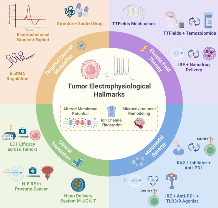 Tumor electrophysiology in precision tumor therapy