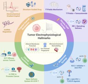Tumor electrophysiology in precision tumor therapy
