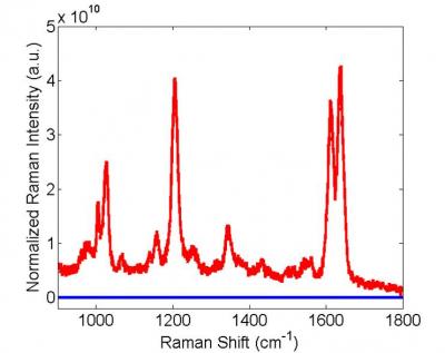Raman Sensing Signal