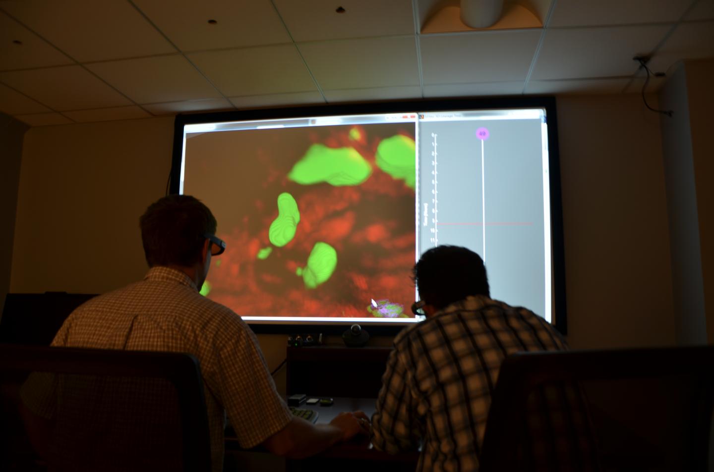 3-D Biovisualization Lab