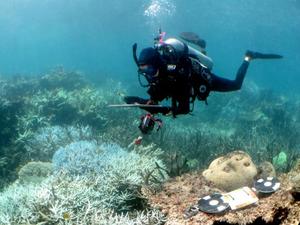 A diver collecting information