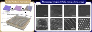 Figure 1. Fabrication process and microstructural analysis of a metal nanoparticle array-based model platform.
