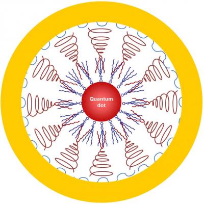 Multifunctional Nanoparticle
