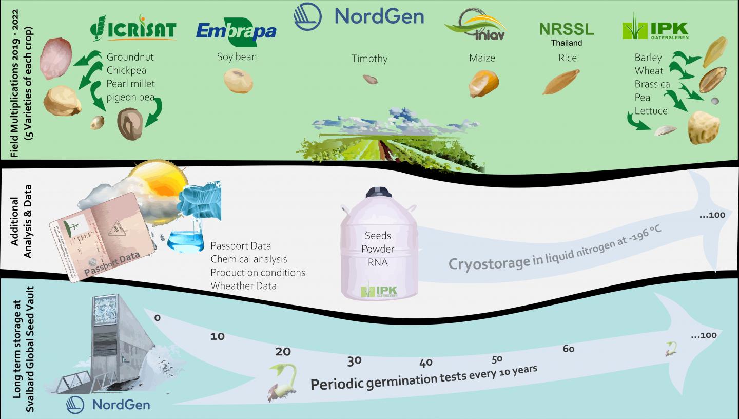 Longevity Experiment Has Started in the Global Seed Vault