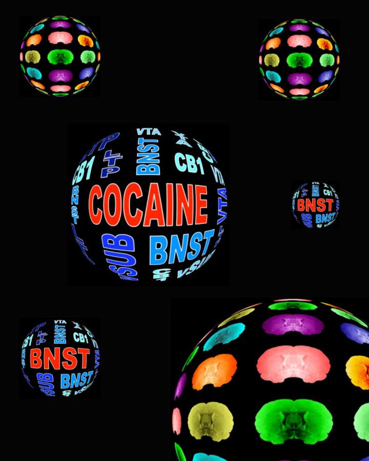 Artwork Based on Brain Network Characterization