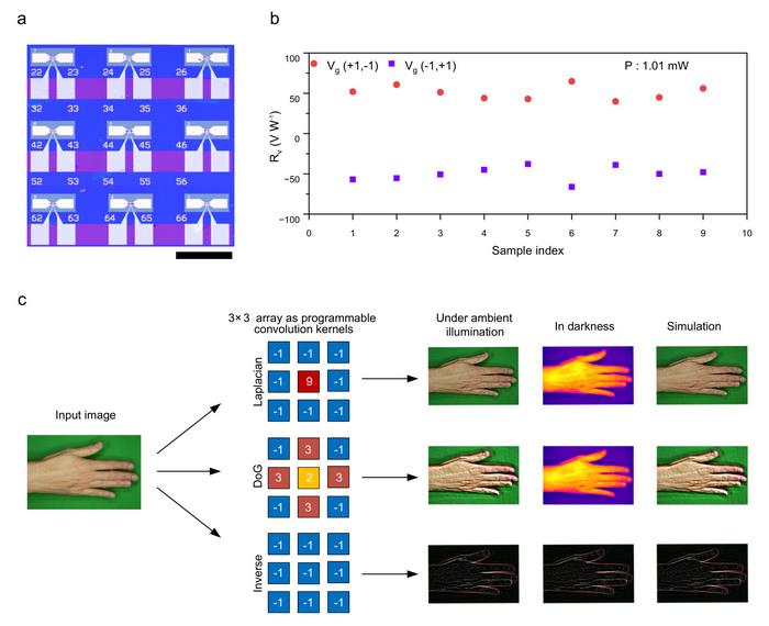 Programmable SrTiO3 detector array for infrared image preprocessing