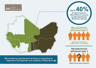 Infographic