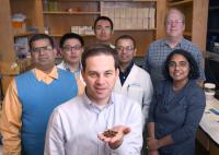 Dr. Kenneth Westover and Team