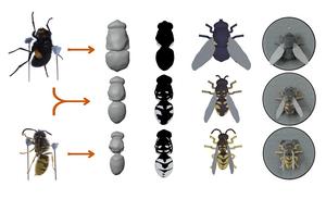 Method Overview