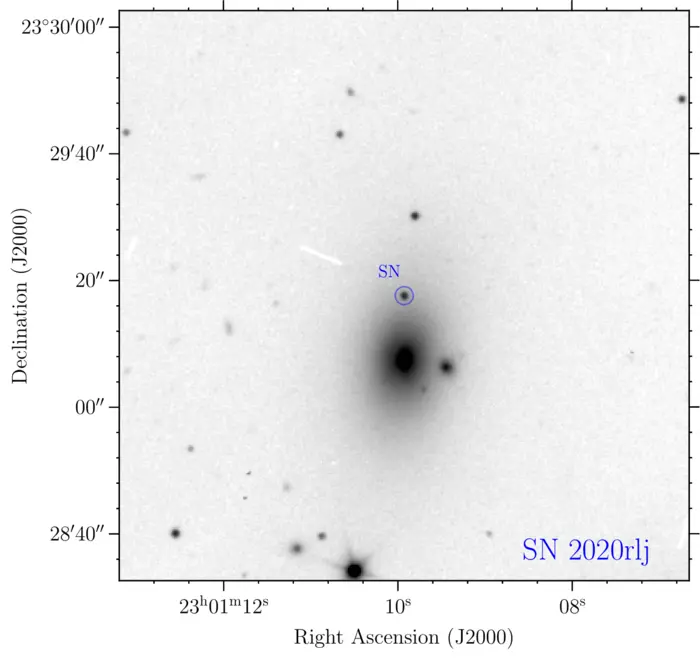Example of observations used in the study