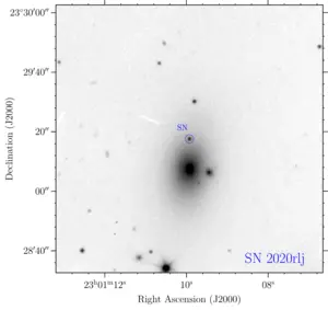 Example of observations used in the study