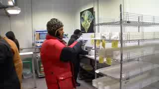National Ice Core Lab Stores Valuable Ancient Ice
