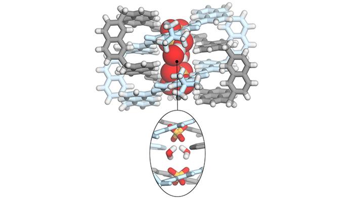 Entangled Molecules Capture Sulfate