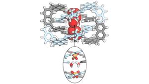 Entangled Molecules Capture Sulfate