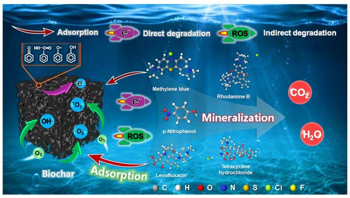 Structure-performance relationship of biochar for direct degradation of organic pollutants