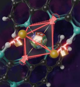 Weak Hydrogen Bonds Dethrone Copper as the Most Stable Metal Binder, Opening a New Path for Metal Selection