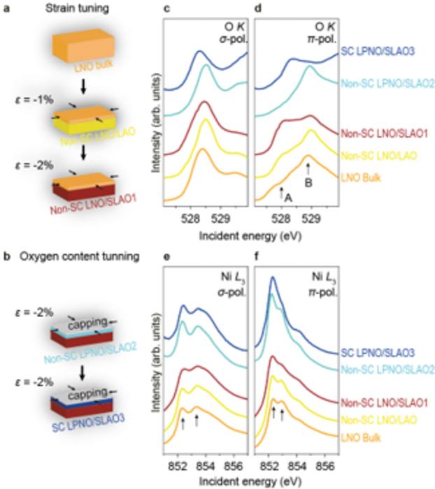 Orbital-selective evolution toward superconductivity in nickelate thin films