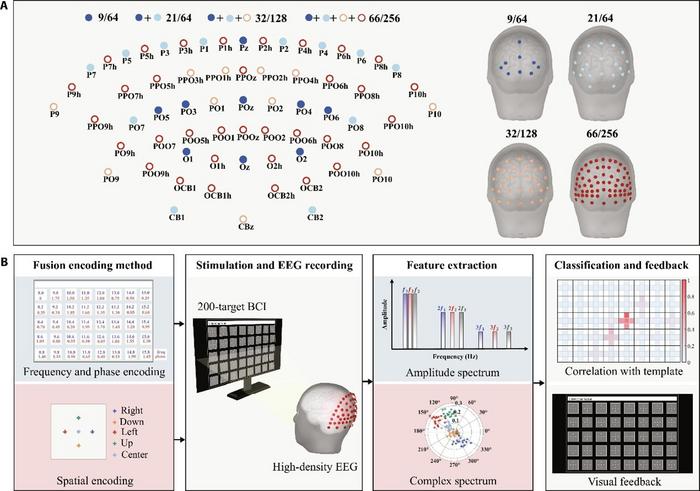 Schematic overview of the 200-target brain–computer interface (BCI) system.