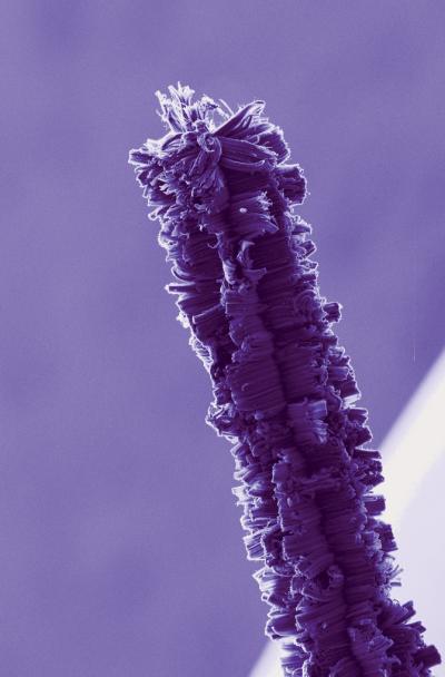 Nature Nano