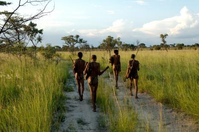 Southern African Genomes Sequenced: Benefits for Human Health Expected (1 of 2)