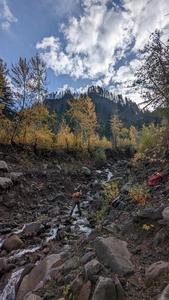 Surveying Tumalt Creek