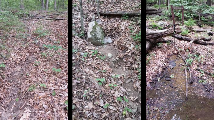 Tiny channels identified by new high-resolution Chesapeake Bay Watershed stream maps