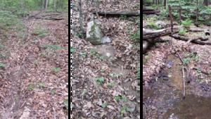 Tiny channels identified by new high-resolution Chesapeake Bay Watershed stream maps