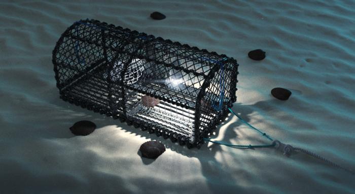 Graphic of an underwater illuminated scallop pot (similar in design to the pots in the study)
