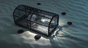 Graphic of an underwater illuminated scallop pot (similar in design to the pots in the study)