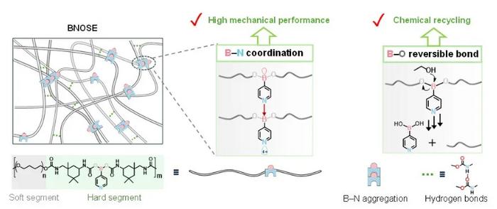 High mechanical properties and chemical recovery: a new supramolecular elastomer synergistically enabled by boron-based dynamic bonds