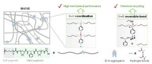 High mechanical properties and chemical recovery: a new supramolecular elastomer synergistically enabled by boron-based dynamic bonds