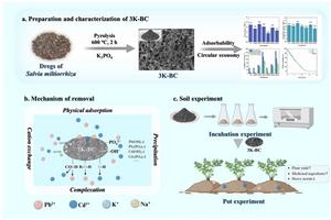 Phosphorus-modified biochar from salvia miltiorrhiza dregs: synthesis, characterization, and dual-functional synergy for heavy metal immobilization and soil fertility augmentation