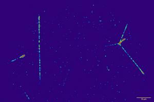 Tracks of cosmic radiation particles recorded during the Artemis I mission.