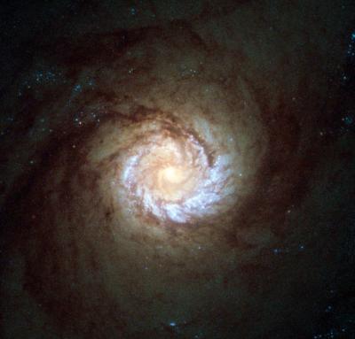 Hubble View: A Hungry Starburst Galaxy