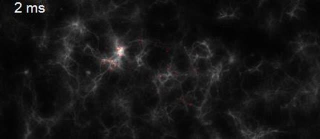 Imaging Neuronal Activity