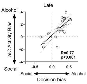 Brain activity that biases decision-making toward alcohol