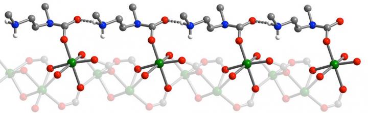 Ammonium Carbamate Chain