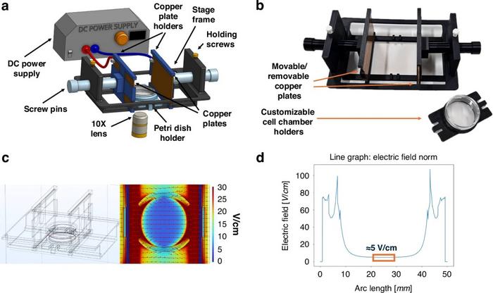Wi-uEF device for electrotaxis study.